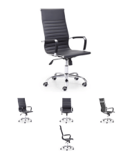 Silla_Director_P_4f28356f0e7a7.jpg